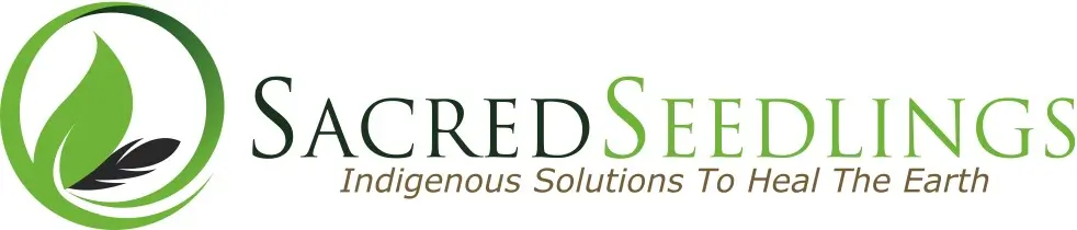 forest conservation and reforestation and climate change solution