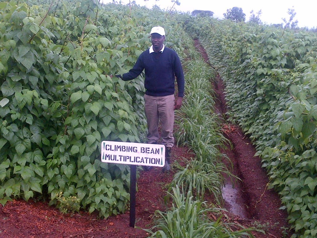 sustainable agriculture and climate solution Rwanda