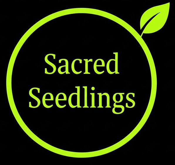 forest conservation and reforestation and biodiversity